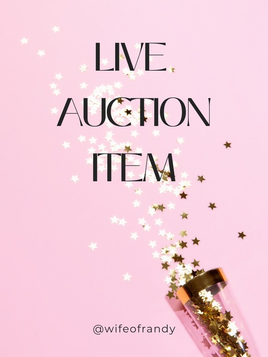Handbags - UNLISTED LIVE AUCTION ITEM